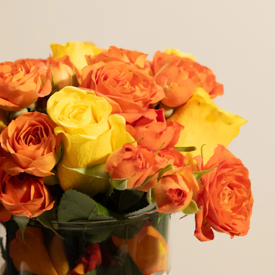 Orange and Yellow Rose Vase