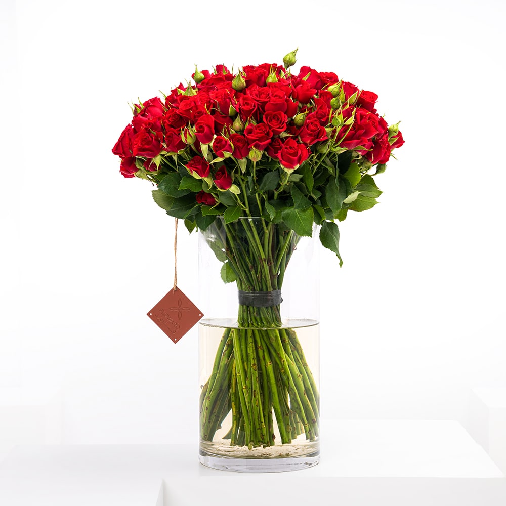 50 Red Baby Roses | Vase