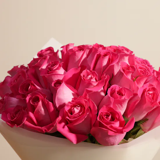 Charming Fuchsia Roses Bouquet