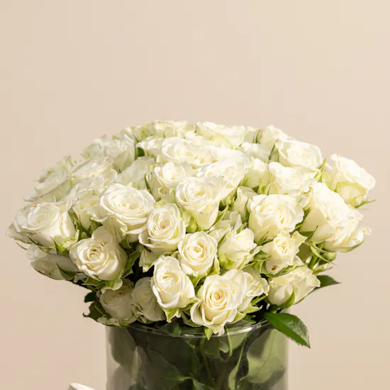 20 White Baby Roses Vase