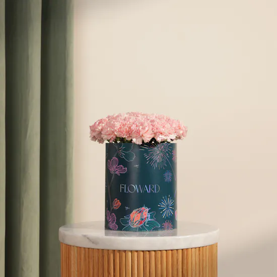 Gentle Pink Carnation Box | 35 Flowers