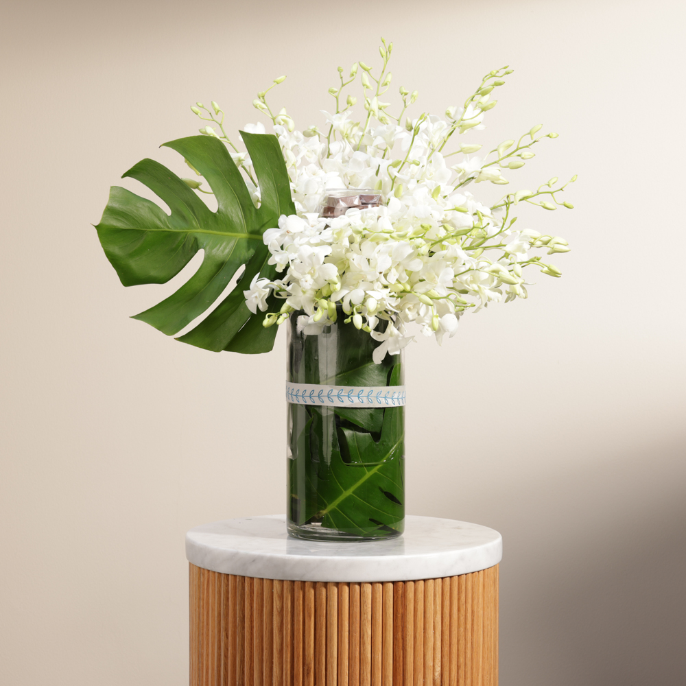 شوكولاته ساده من فلاورد | الاوركيد الساحر