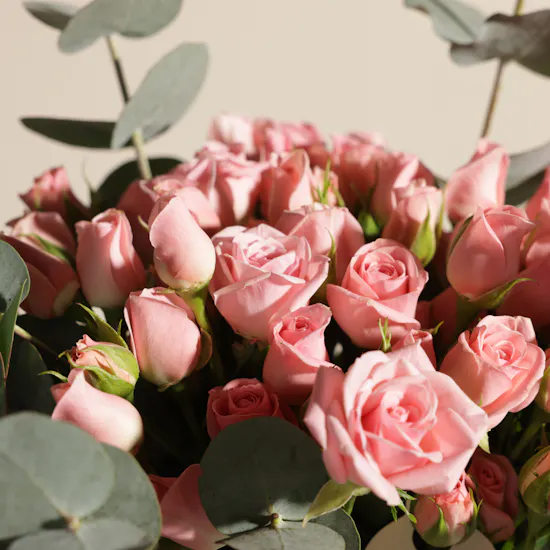 Ajmal Evoke EDP for Women | Soft Radiance Flowers