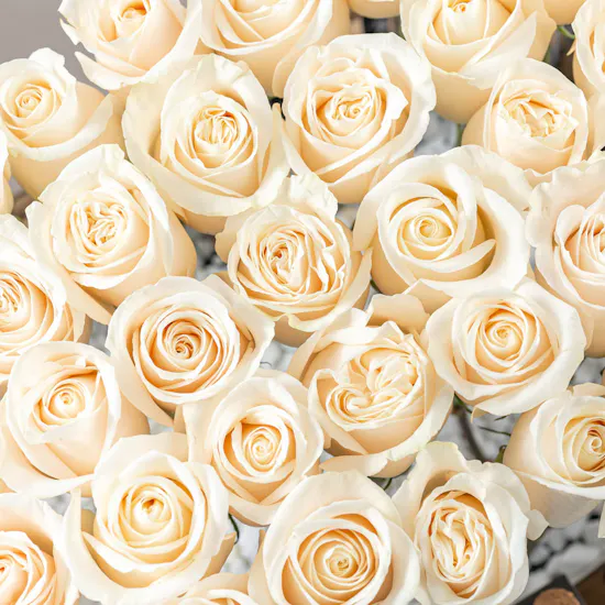 Kisra Tray | White Roses