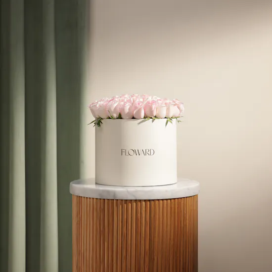 Cute Light Pink Roses Box | 55 Flower
