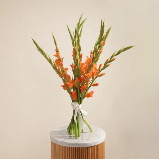Orange Gladiolus | Flowers Bouquet