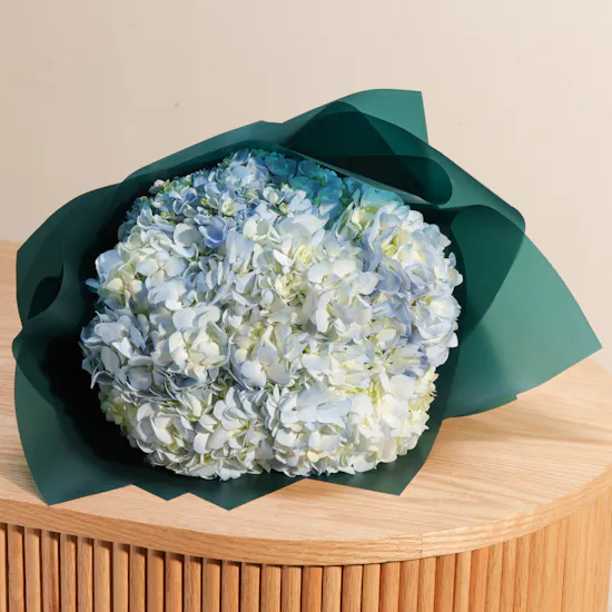 باقة زهور هيدرانجيا زرقاء مبهجة