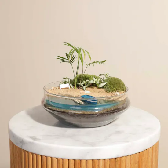 Nano Garden Closed Terrarium