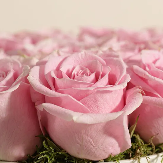 Delicta Pink Roses Box