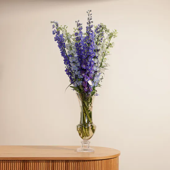 Charming Delphinium Luxury Vase