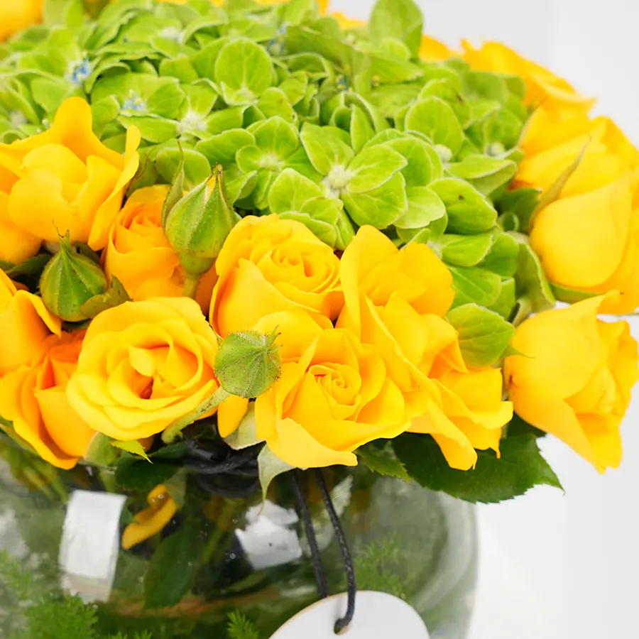 Vibrant Yellow | Ibrahim Alqurashi Fragrance  4