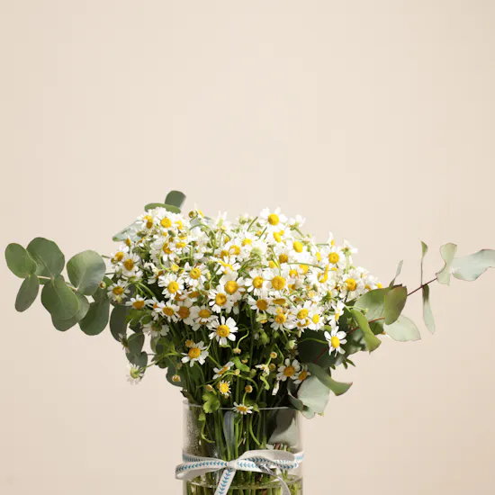 Patchi Chocolate Tray | Color Spell Flowers Vase