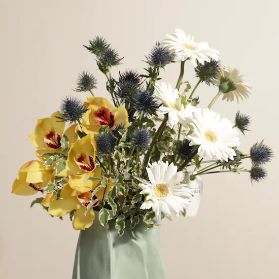 Beauty Vase