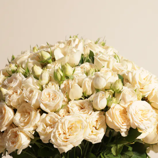 Peach Baby Roses Vase | 50 Flowers