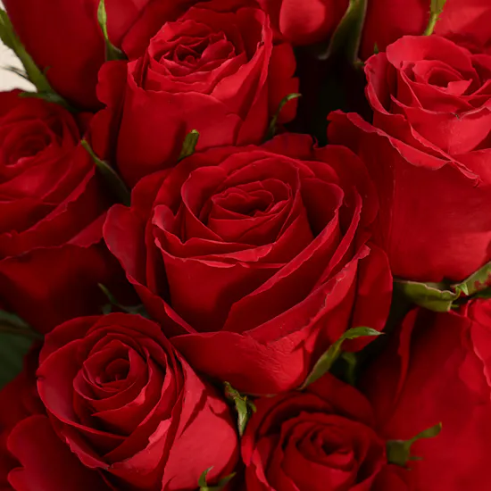 Classic Elegance | Roses & Balloons