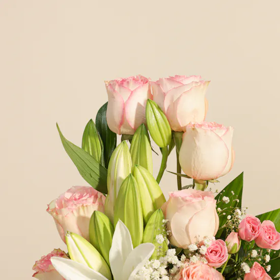 Esperance Rose | Glass Vase