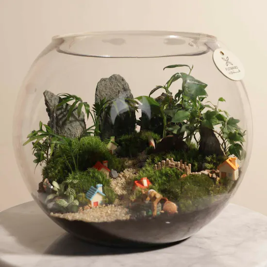 Small Town Terrarium Vase
