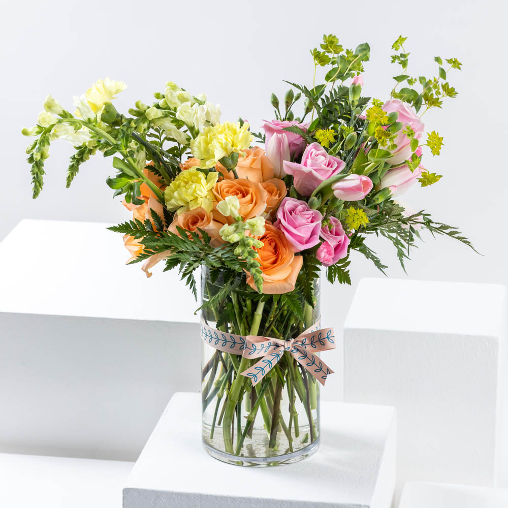 زهور صيفية متنوعة