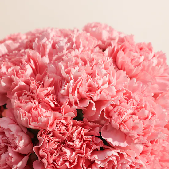 Made 51 Peace Bear | Shinny Flowers