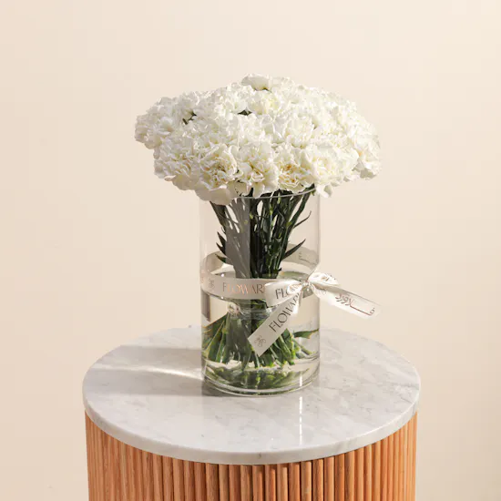 Magical White Carnation Vase