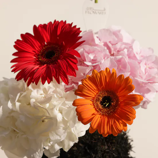 Vibrant Elegance Flowers Vase