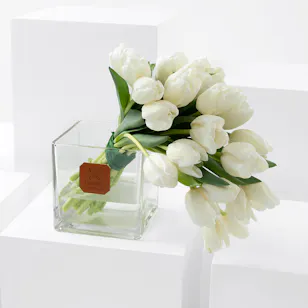 Beautiful White Tulips Vase