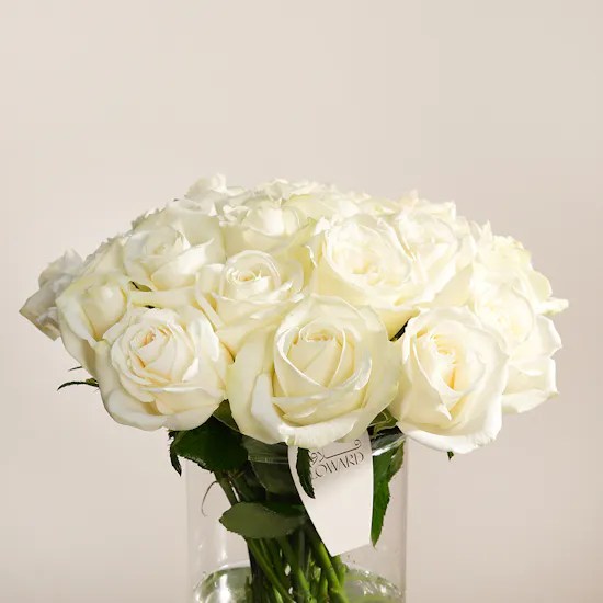 Ivory Bliss Rose Vase