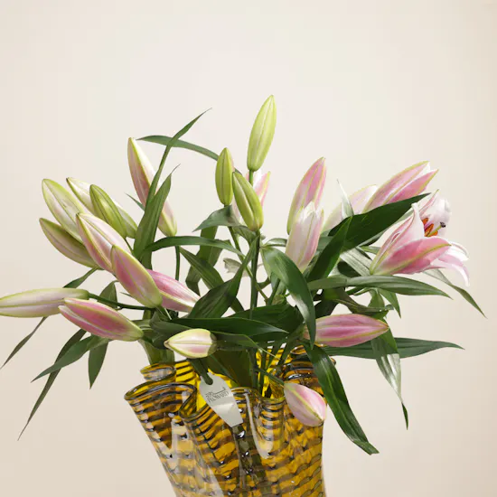 Whispering Pink Tulip Vase