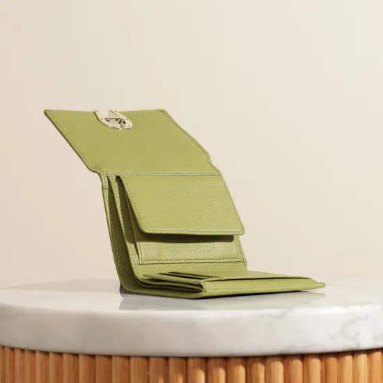 Aigner Pistachio Fashion Combination Women’s Wallet
