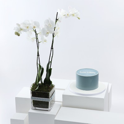NQ's Blue - Happy Birthday