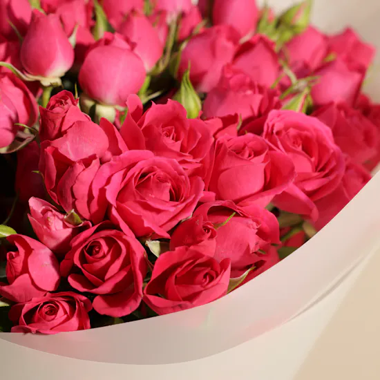 Chic Fuchsia Baby Rose Bouquet