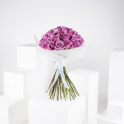 50 Purple Roses | Bouquet