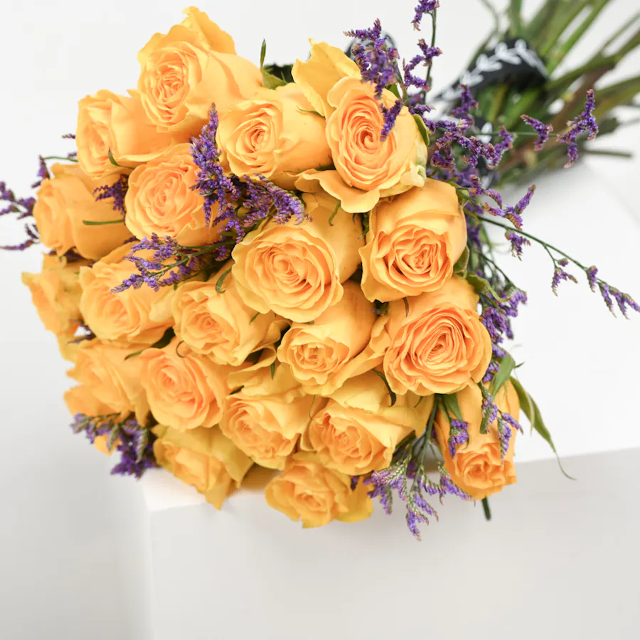 Hanoverian Chocolate | Yellow Roses 3