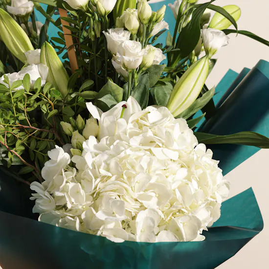 Floward Plain Chocolate | Get Well Soon Blooms