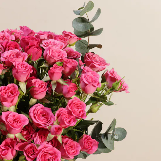 Fuchsia Whisper Rose Vase