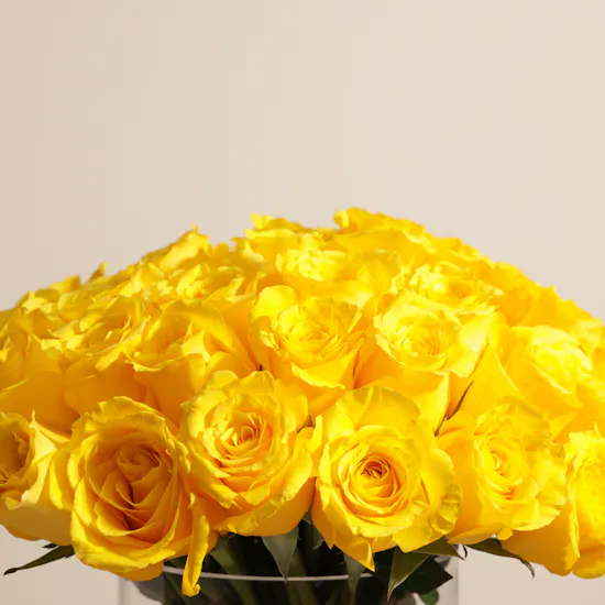 Yellow Radiance Vase | 50 Roses