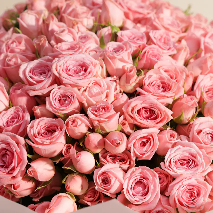 Enchanting Pink Baby Roses Bouquet | 100 Flowers 5