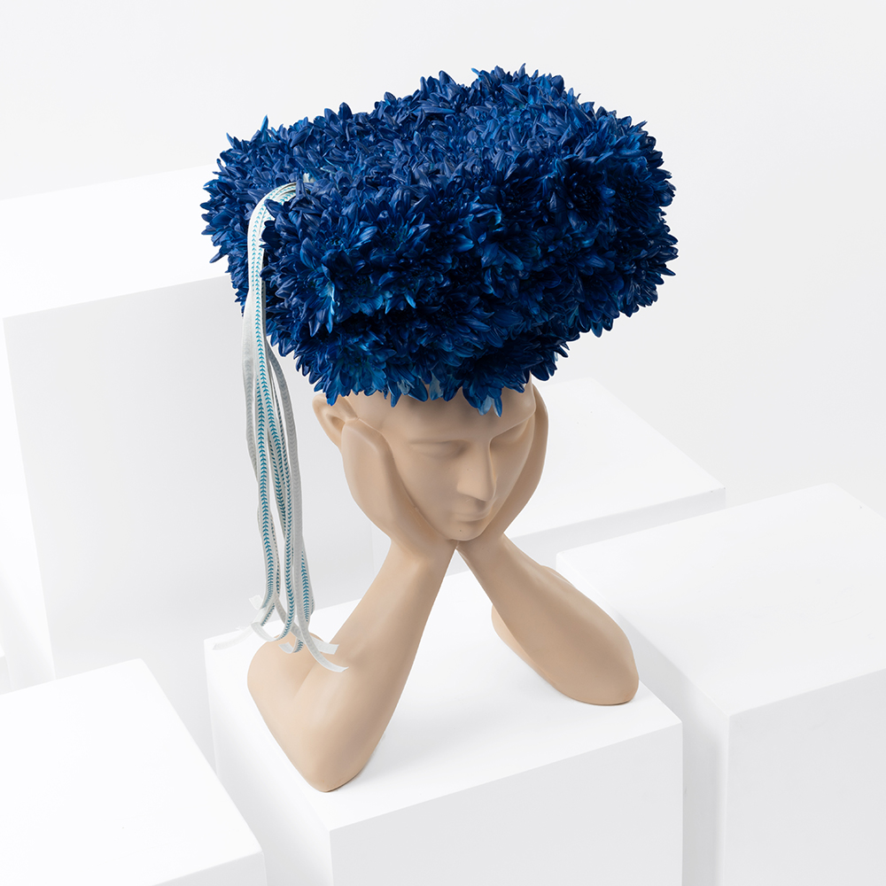 Graduation Ceremony | Blue Chrysanthemum