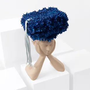 Graduation Ceremony | Blue Chrysanthemum