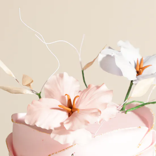 Cake Boutique Creative Cake