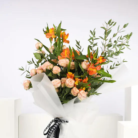 Apricot Flowers | 14 Flowers