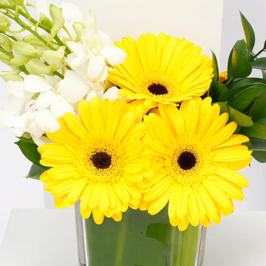 Helen's Birthday Cake | Delightful Vase 6