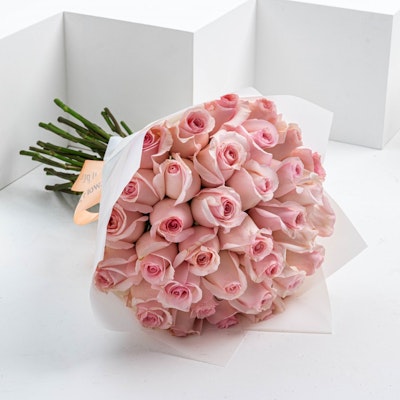 Light Pink Roses | White Wrap