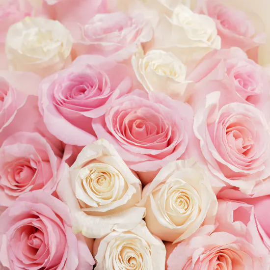 Blissful Roses Bouquet
