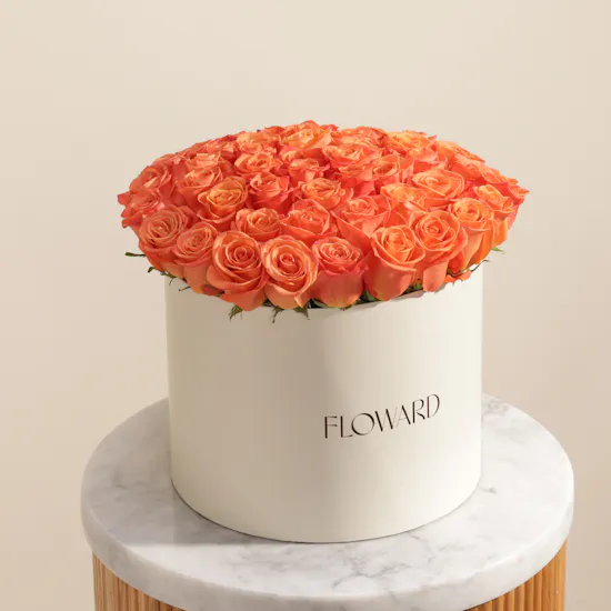 Sunlit Orange Rose Box | 55 Flowers