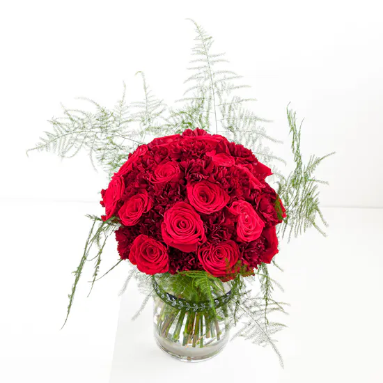 Cerise Rose