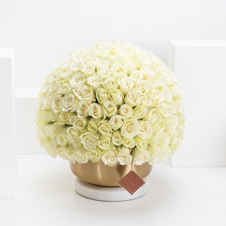 White Roses Vase 