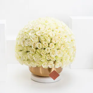 White Roses Vase