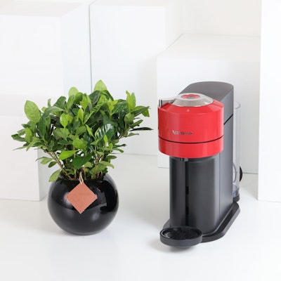 Nespresso Vertuo Next Premium | Gardenia Plant