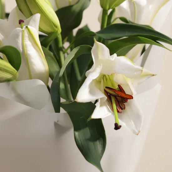 Graceful White Lilies Bouquet